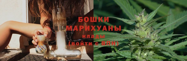 ГАЛЛЮЦИНОГЕННЫЕ ГРИБЫ Арсеньев