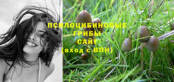 ГАЛЛЮЦИНОГЕННЫЕ ГРИБЫ Арсеньев