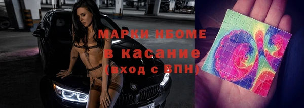 ешки Аркадак
