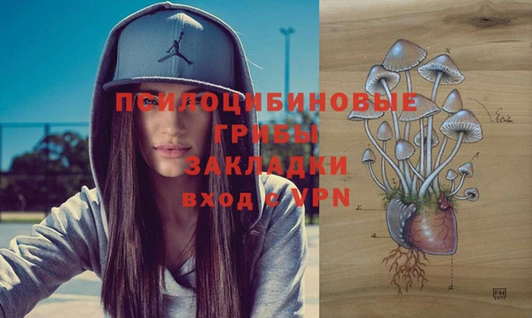 ГАЛЛЮЦИНОГЕННЫЕ ГРИБЫ Арсеньев