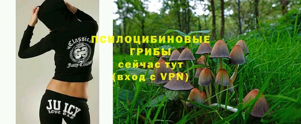 ешки Армянск