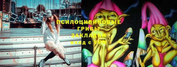 ГАЛЛЮЦИНОГЕННЫЕ ГРИБЫ Арсеньев