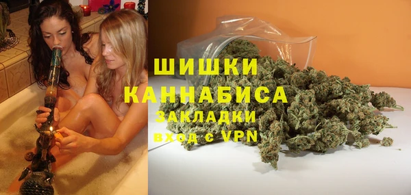 ГАЛЛЮЦИНОГЕННЫЕ ГРИБЫ Арсеньев
