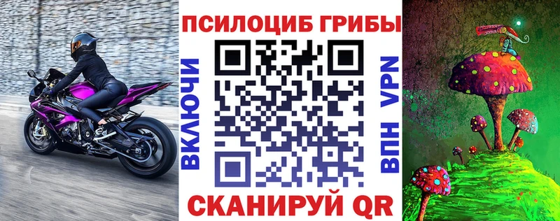 купить наркотики сайты  Курганинск  Псилоцибиновые грибы Magic Shrooms 